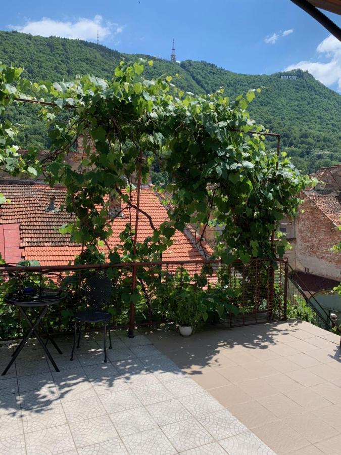 Fantasy Terasa Apartment Brasov Bagian luar foto